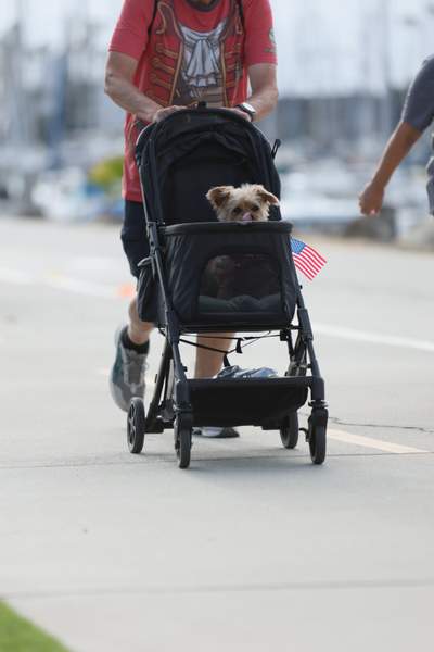 SoCal's Pirate's 5k/10k Run/Walk race photo