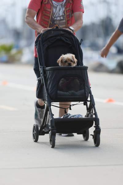 SoCal's Pirate's 5k/10k Run/Walk race photo