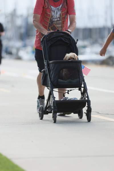 SoCal's Pirate's 5k/10k Run/Walk race photo