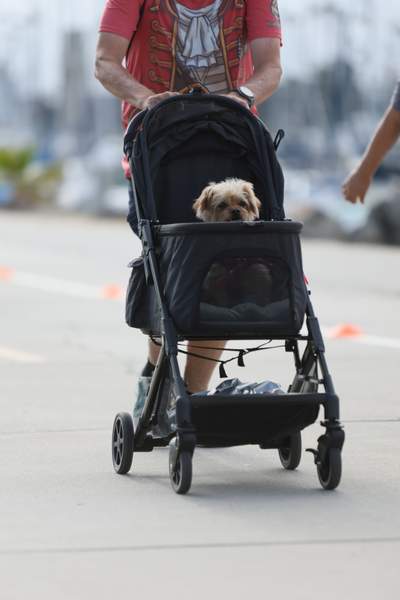 SoCal's Pirate's 5k/10k Run/Walk race photo