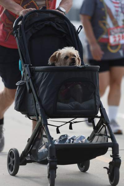 SoCal's Pirate's 5k/10k Run/Walk race photo